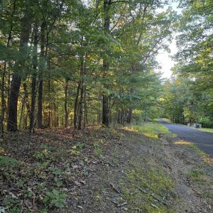 Photo #3 of LERNER LN, BASYE, VA 0.3 acres