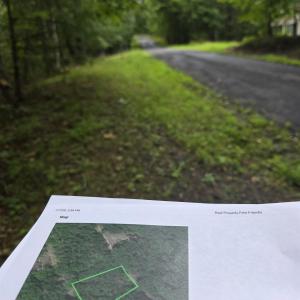 Photo #5 of LERNER LN, BASYE, VA 0.3 acres