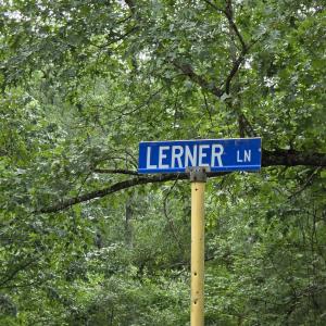 Photo #2 of LERNER LN, BASYE, VA 0.3 acres