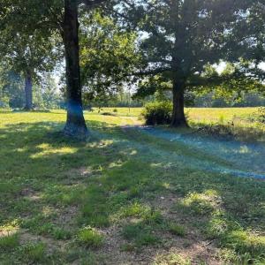 Photo #7 of 2565 PATTIE RD, BUCKINGHAM, VA 2.5 acres