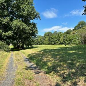 Photo #2 of 2565 PATTIE RD, BUCKINGHAM, VA 2.5 acres