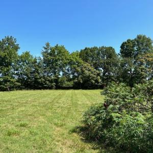 Photo #5 of 2565 PATTIE RD, BUCKINGHAM, VA 2.5 acres