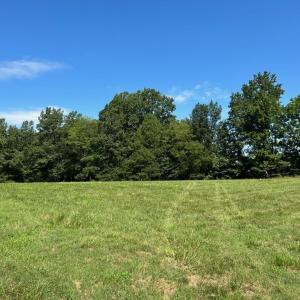 Photo #6 of 2565 PATTIE RD, BUCKINGHAM, VA 2.5 acres