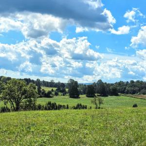Photo #5 of Lot B2 MOORE RD, RUCKERSVILLE, VA 2.5 acres