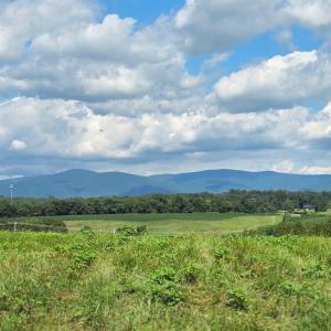 Photo #6 of Lot B2 MOORE RD, RUCKERSVILLE, VA 2.5 acres