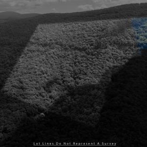 Photo #8 of 180 BEAR PATH LN, LYNDHURST, VA 27.7 acres