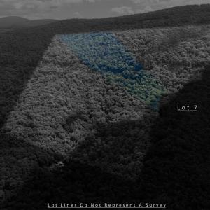 Photo #6 of 180 BEAR PATH LN, LYNDHURST, VA 27.7 acres