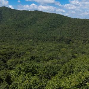 Photo #2 of 180 BEAR PATH LN, LYNDHURST, VA 27.7 acres