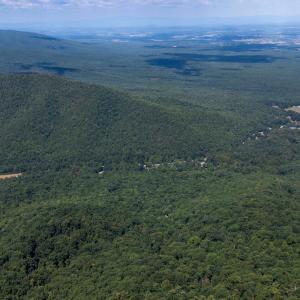 Photo #3 of 180 BEAR PATH LN, LYNDHURST, VA 27.7 acres