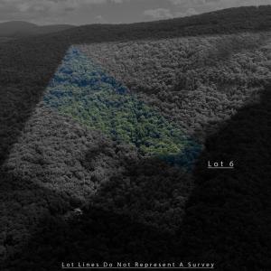 Photo #5 of 180 BEAR PATH LN, LYNDHURST, VA 27.7 acres