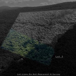 Photo #4 of 180 BEAR PATH LN, LYNDHURST, VA 27.7 acres