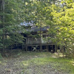 Photo #10 of 180 BEAR PATH LN, LYNDHURST, VA 27.7 acres