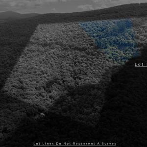 Photo #7 of 180 BEAR PATH LN, LYNDHURST, VA 27.7 acres