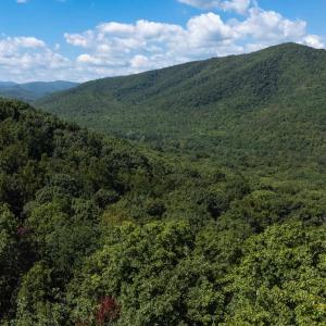 Photo #1 of 180 BEAR PATH LN, LYNDHURST, VA 27.7 acres