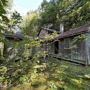 Photo #9 of 180 BEAR PATH LN, LYNDHURST, VA 27.7 acres