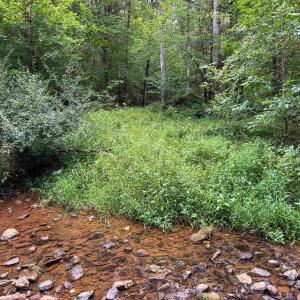 Photo #5 of TBA OLD GREEN MOUNTAIN RD, ESMONT, VA 57.7 acres
