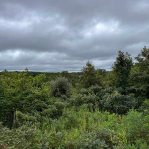 Photo #10 of TBA OLD GREEN MOUNTAIN RD, ESMONT, VA 57.7 acres