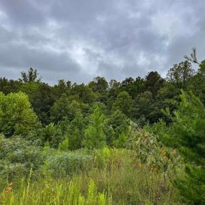 Photo #27 of TBA OLD GREEN MOUNTAIN RD, ESMONT, VA 57.7 acres
