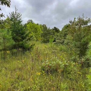 Photo #25 of TBA OLD GREEN MOUNTAIN RD, ESMONT, VA 57.7 acres
