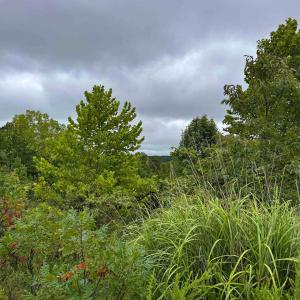 Photo #13 of TBA OLD GREEN MOUNTAIN RD, ESMONT, VA 57.7 acres