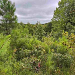 Photo #16 of TBA OLD GREEN MOUNTAIN RD, ESMONT, VA 57.7 acres