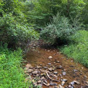 Photo #4 of TBA OLD GREEN MOUNTAIN RD, ESMONT, VA 57.7 acres