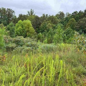 Photo #22 of TBA OLD GREEN MOUNTAIN RD, ESMONT, VA 57.7 acres