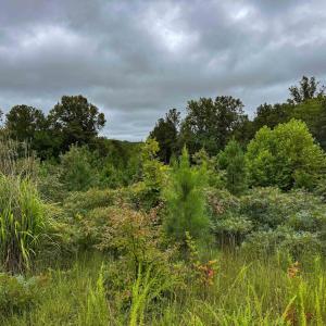 Photo #26 of TBA OLD GREEN MOUNTAIN RD, ESMONT, VA 57.7 acres