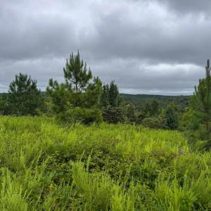 Photo #8 of TBA OLD GREEN MOUNTAIN RD, ESMONT, VA 57.7 acres