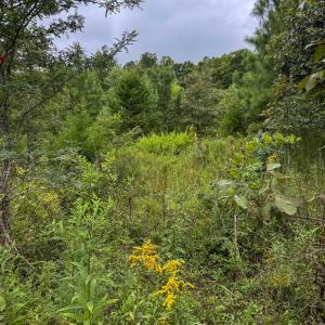 Photo #32 of TBA OLD GREEN MOUNTAIN RD, ESMONT, VA 57.7 acres