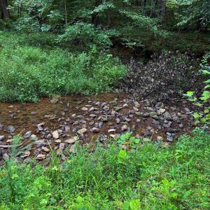 Photo #3 of TBA OLD GREEN MOUNTAIN RD, ESMONT, VA 57.7 acres