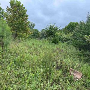 Photo #31 of TBA OLD GREEN MOUNTAIN RD, ESMONT, VA 57.7 acres