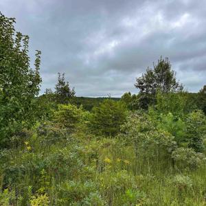Photo #11 of TBA OLD GREEN MOUNTAIN RD, ESMONT, VA 57.7 acres
