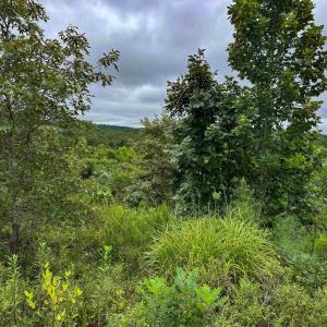 Photo #29 of TBA OLD GREEN MOUNTAIN RD, ESMONT, VA 57.7 acres