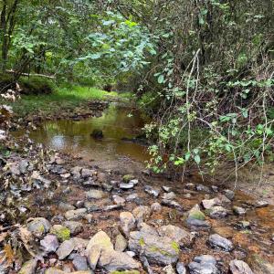 Photo #1 of TBA OLD GREEN MOUNTAIN RD, ESMONT, VA 57.7 acres
