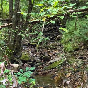 Photo #6 of TBA OLD GREEN MOUNTAIN RD, ESMONT, VA 57.7 acres