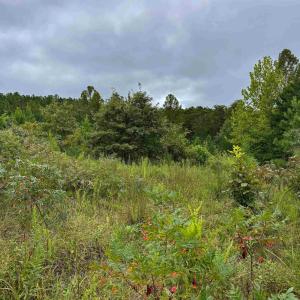 Photo #12 of TBA OLD GREEN MOUNTAIN RD, ESMONT, VA 57.7 acres