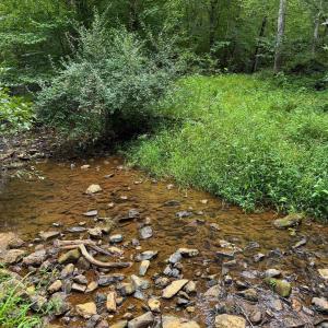 Photo #7 of TBA OLD GREEN MOUNTAIN RD, ESMONT, VA 57.7 acres