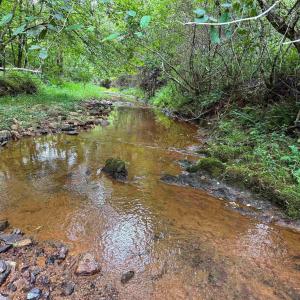 Photo #2 of TBA OLD GREEN MOUNTAIN RD, ESMONT, VA 57.7 acres