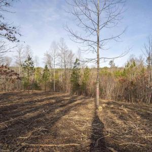 Photo #12 of 3860-5 GILBERT STATION RD, BARBOURSVILLE, VA 3.5 acres