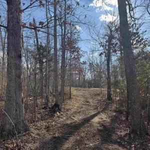 Photo #4 of 3860-5 GILBERT STATION RD, BARBOURSVILLE, VA 3.5 acres