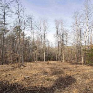 Photo #14 of 3860-5 GILBERT STATION RD, BARBOURSVILLE, VA 3.5 acres
