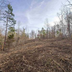 Photo #15 of 3860-5 GILBERT STATION RD, BARBOURSVILLE, VA 3.5 acres
