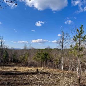 Photo #2 of 3860-5 GILBERT STATION RD, BARBOURSVILLE, VA 3.5 acres