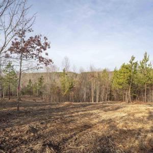 Photo #11 of 3860-5 GILBERT STATION RD, BARBOURSVILLE, VA 3.5 acres