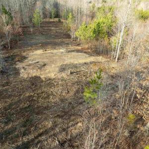 Photo #5 of 3860-5 GILBERT STATION RD, BARBOURSVILLE, VA 3.5 acres