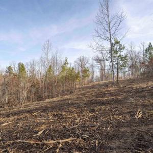 Photo #13 of 3860-5 GILBERT STATION RD, BARBOURSVILLE, VA 3.5 acres