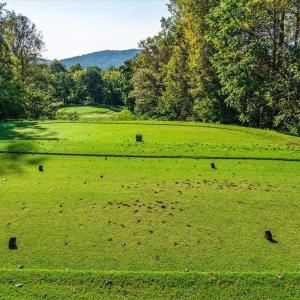 Photo #2 of STONEY CREEK WEST, NELLYSFORD, VA 1.0 acres