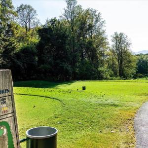 Photo #13 of STONEY CREEK WEST, NELLYSFORD, VA 1.0 acres