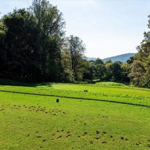 Photo #12 of STONEY CREEK WEST, NELLYSFORD, VA 1.0 acres